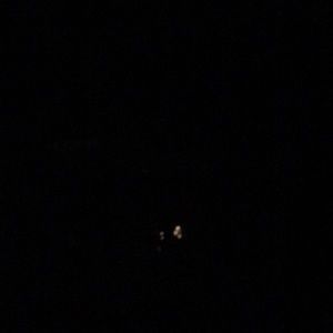 Meet your Posher, Edith